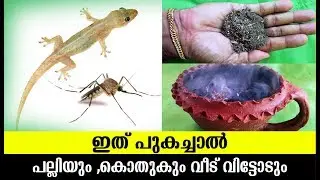 ഇതു പുകച്ചാൽ പല്ലിയും കൊതുകും വീട് വിട്ടോടും || How to Get Rid of Lizards and Mosquitoes