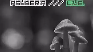 Trance Psyberia /// LIVE @ PsyTribe 20 Year Anniversary Festival, 10.28.2017.