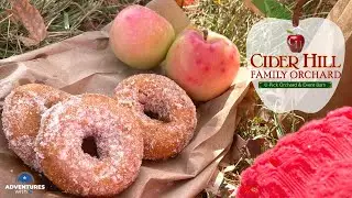 Fall Bucket List Item: Cider Hill Family Orchard in Kansas City KS