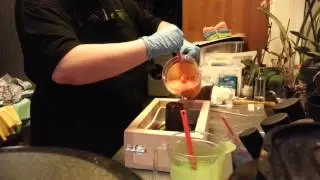 Making cold process soap, column swirl
