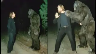 This Sasquatch Was Speaking English, But When It Saw Me Recording      Bigfoot Tale