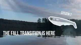 Fishing Alabama Reservoir With Big Swimbaits 