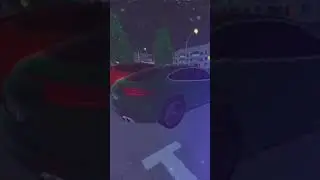 две новые брички тесла модель х и порш пономера с