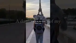 A Day in the Life of My Travel Cats