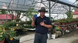 Customer Appreciation Week at Glen Allen Greenhouse