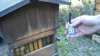 Deploying Open-source Smart Beehives