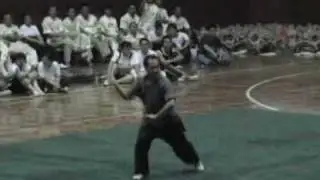 Цай Ли Фо 5 - www.taishe.ru - Choy Li Fut