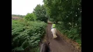 2025 07 20 Trots and canters in the woods