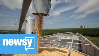 Farm Bankruptcies Spike Amid Trade War
