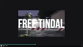 Free Tindal