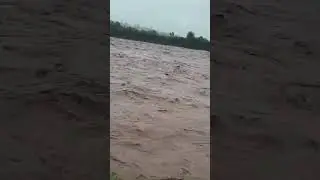 Heavy flood #monsoon #flood #viral #2025