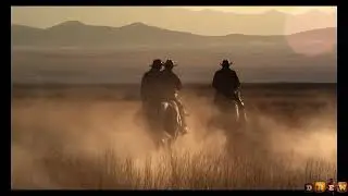 Nick Nolan - Life of Sin - Drew Country