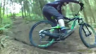 Pineys Shred - Playing in the woods