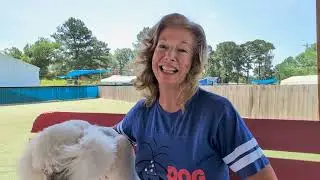 🐾 &ldquo;Where Playtime Meets Wellness: The Benefits of Doggy Daycare&rdquo; with Chaddie!