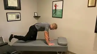 Core and Back Stability Exercise| Bird Dog (leg only) | Clive Chiropractor