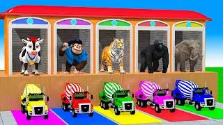 5 Giant Duck Cartoon,Cow,Elephant,Tiger,Lion,Dinosaur,Paint Wild Animals Crossing Fountain Animation