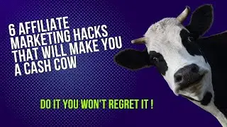 6 Affiliate Marketing Hacks That Will Make You a Cash Cow