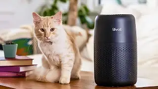 Top 5 Best Air Purifiers on Amazon!