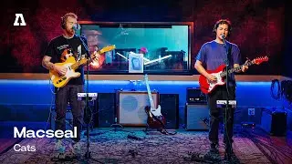 Macseal - Cats | Audiotree Live
