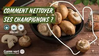 Tuto - Comment nettoyer les champignons ?