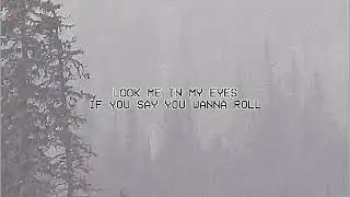 BOJACK BLACK - TIRED OF TRAVELING (FEAT. CAM ROBERTS) (LYRIC VIDEO)