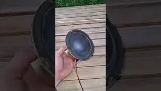 Can It Still Bass Subwoofer Driver Removed! #bass #nghia #automobile