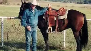 Ted Wells Jr.