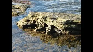 форма воды
