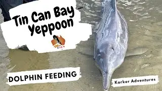 Tin Can Bay   Yeppoon   HD 1080p