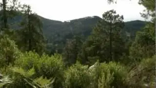 Xalapa, Veracruz OPMA