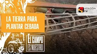 Preparando la tierra para plantar cebada