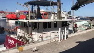 塔斯馬尼亞 荷巴特 海鮮餐廳 1/2