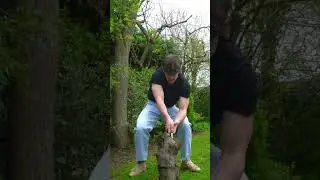 POV: the guy that chops wood on TikTok #comedy #funny #shorts