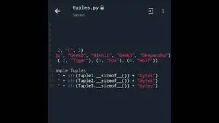 size of tuple in python
