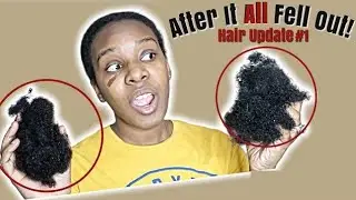 Mini Braids Destroyed My Hair?! Here's the truth! NATURALLY MARKED 