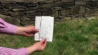 Creeping Thyme Seed Mat