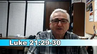 2024-12-03 Video Encouragements - Luke 21:29-30