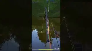 Трофей золотого карася на аосарином #rr4