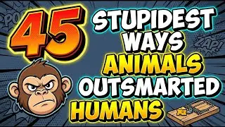 45 Stupidest Ways Animals Outsmarted People