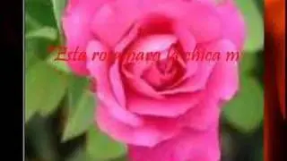 noche azul amor de arena