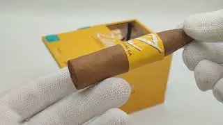 Сигары Zino Nicaragua Short Torpedo (характеристики)