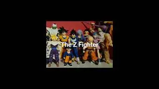 The Z fighters