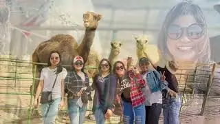 Private Tours | Travel & Tours in Kuwait | Desert Safari