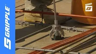 Spider (Wood Form) | Product Focus