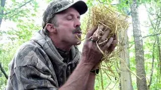 Choice 2012 - Bushcraft