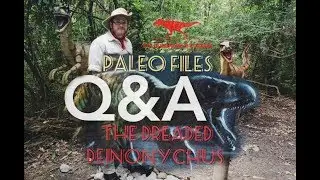 Paleo Files Season 1 Episode 1 Q&A