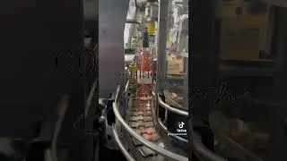 Bottling of Good Harbor's 2022 Ros&eacute;
