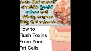saltwater flush for weight loss ,Master cleanse with salt water, weight loss vlog,Master cleanse