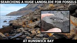 #fossilhunter finds #JURASSIC #fossils in a massive landslide