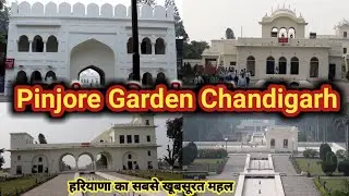 pinjore garden chandigarh | pinjore garden panchkula | places to visit near chandigarh